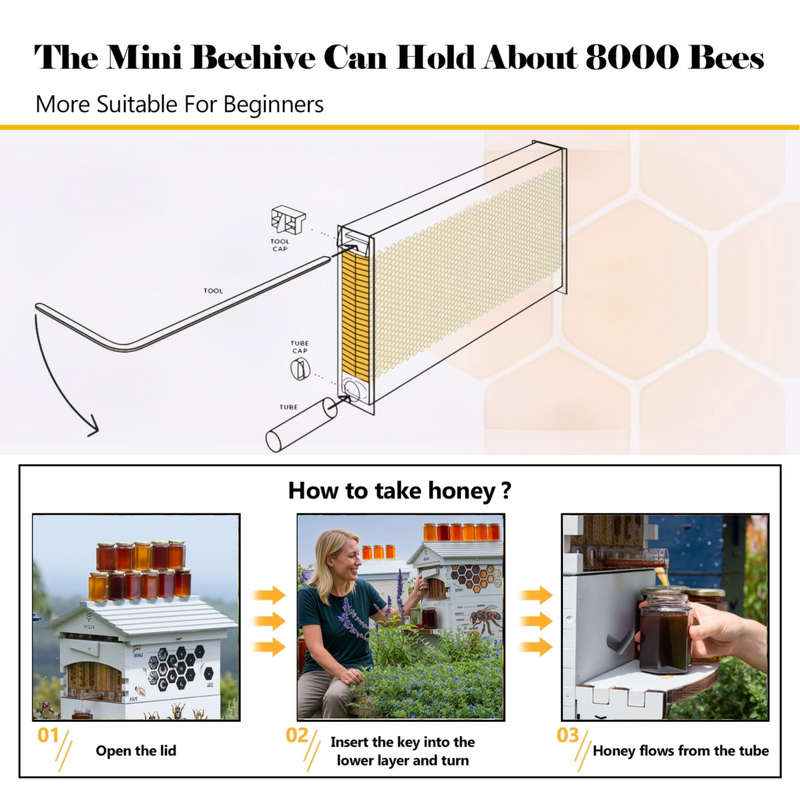 SkogHive 2+ Complete Automatic Flow Hive Kit - Premium Cedar Wood Beehive Set