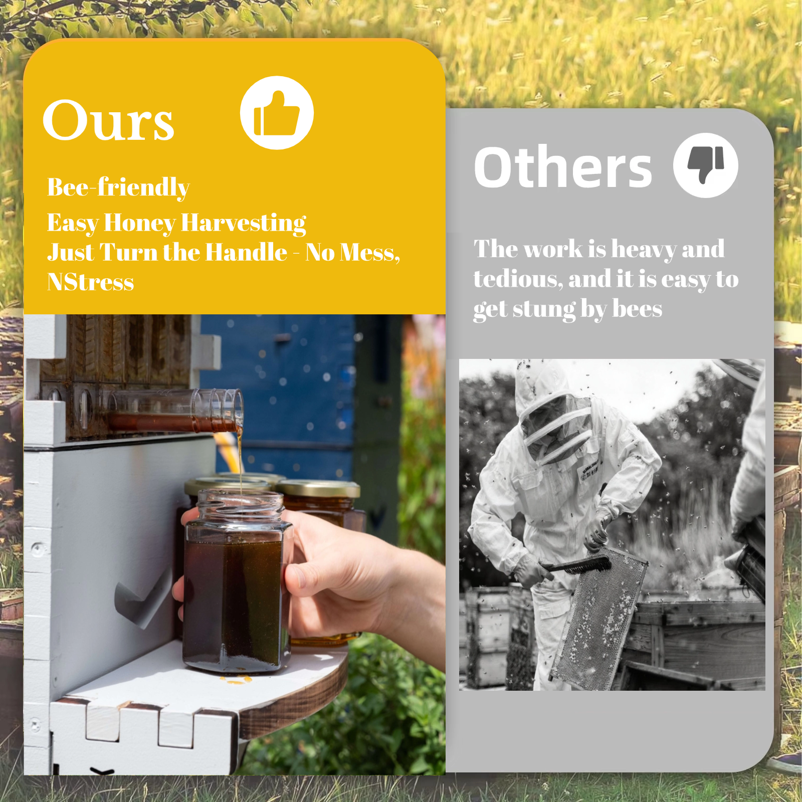 SkogHive Flow Bee Hive with Tap | Automatic Honey Bee Hive for Beginners & Experienced Beekeepers | Easy Honey Harvesting Box