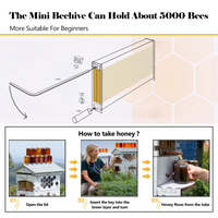 SkogHive Small Automatic Flow Bee Hive with Honey Spout - 4 Frame Cedar Wood