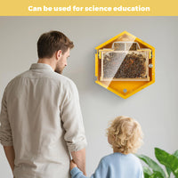 SkogHive Wall-Mounted Hexagon Observation Beehive - Clear View Educational Kit