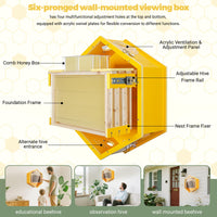 SkogHive Wall-Mounted Hexagon Observation Beehive - Clear View Educational Kit