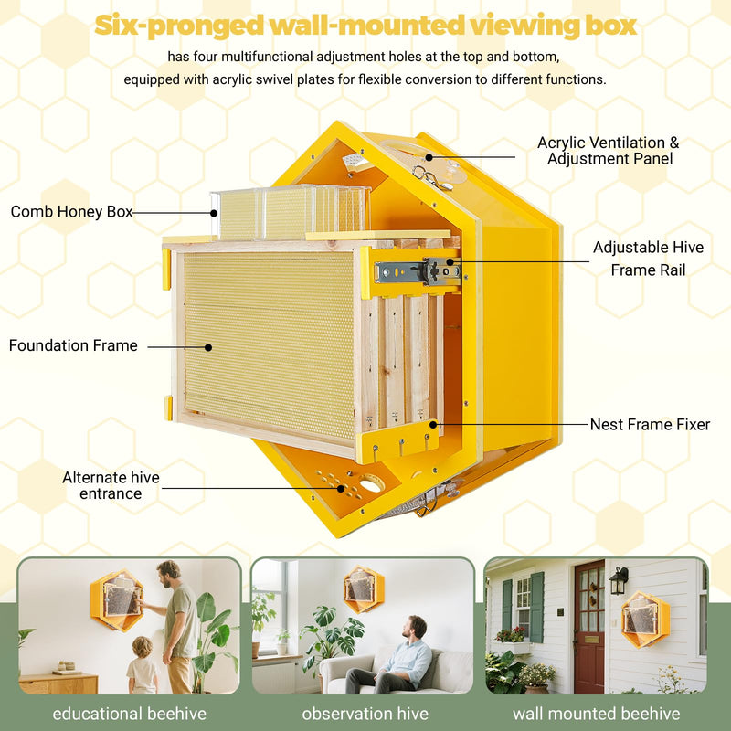 SkogHive Wall-Mounted Hexagon Observation Beehive - Clear View Educational Kit