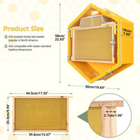SkogHive Wall-Mounted Hexagon Observation Beehive - Clear View Educational Kit