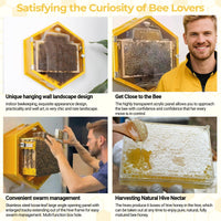 SkogHive Wall-Mounted Hexagon Observation Beehive - Clear View Educational Kit