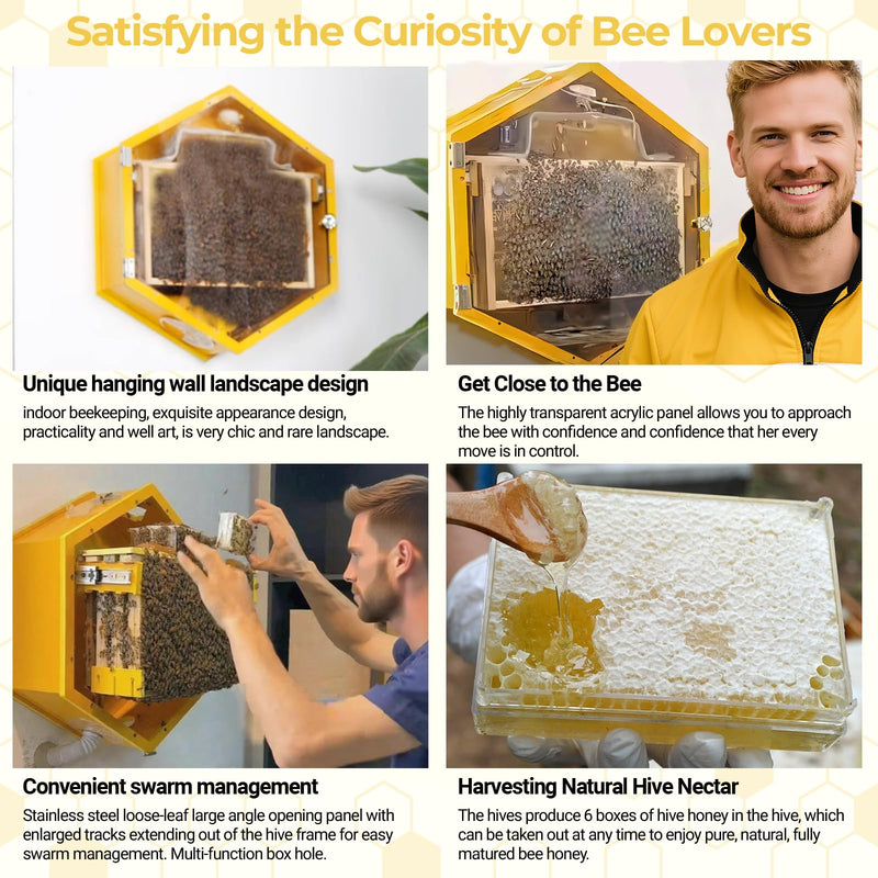 SkogHive Wall-Mounted Hexagon Observation Beehive - Clear View Educational Kit