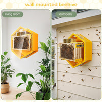 SkogHive Wall-Mounted Hexagon Observation Beehive - Clear View Educational Kit