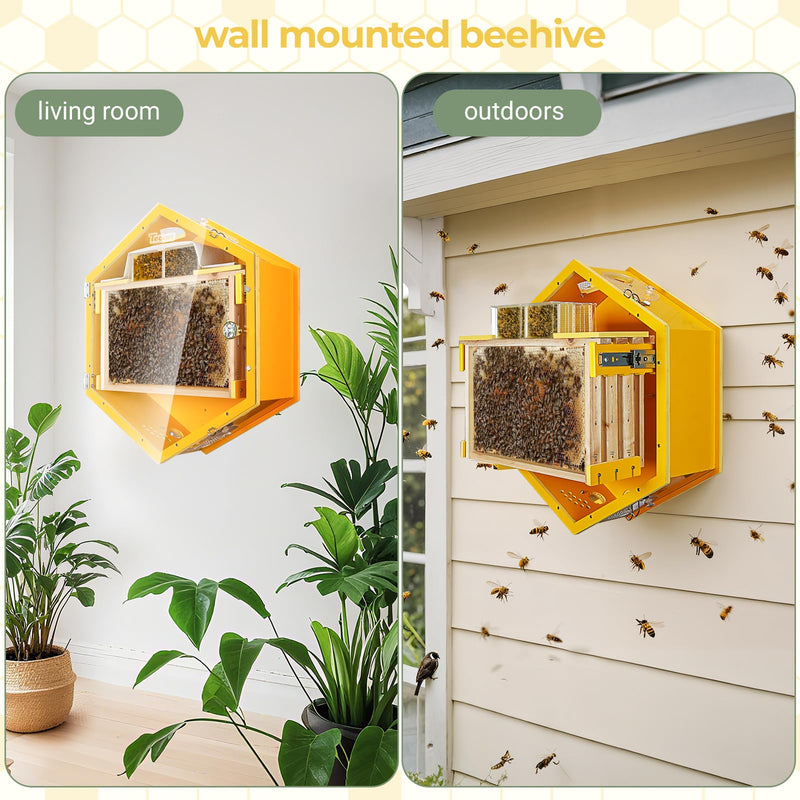 SkogHive Wall-Mounted Hexagon Observation Beehive - Clear View Educational Kit