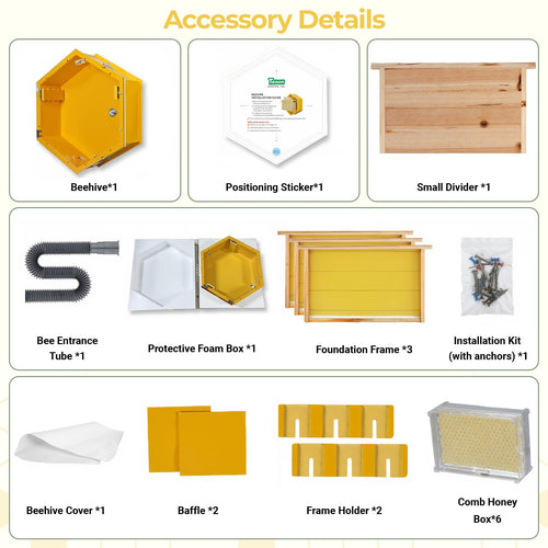 SkogHive Wall-Mounted Hexagon Observation Beehive - Clear View Educational Kit