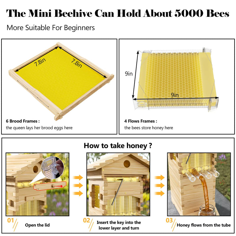 SkogHive Automatic 4-Frame Flow Hive Beekeeping Kit - Natural Cedar Wood with Honey Spout