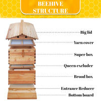SkogHive 7-Frame Automatic Flow Hive Kit - Premium Cedar Wood Beehive