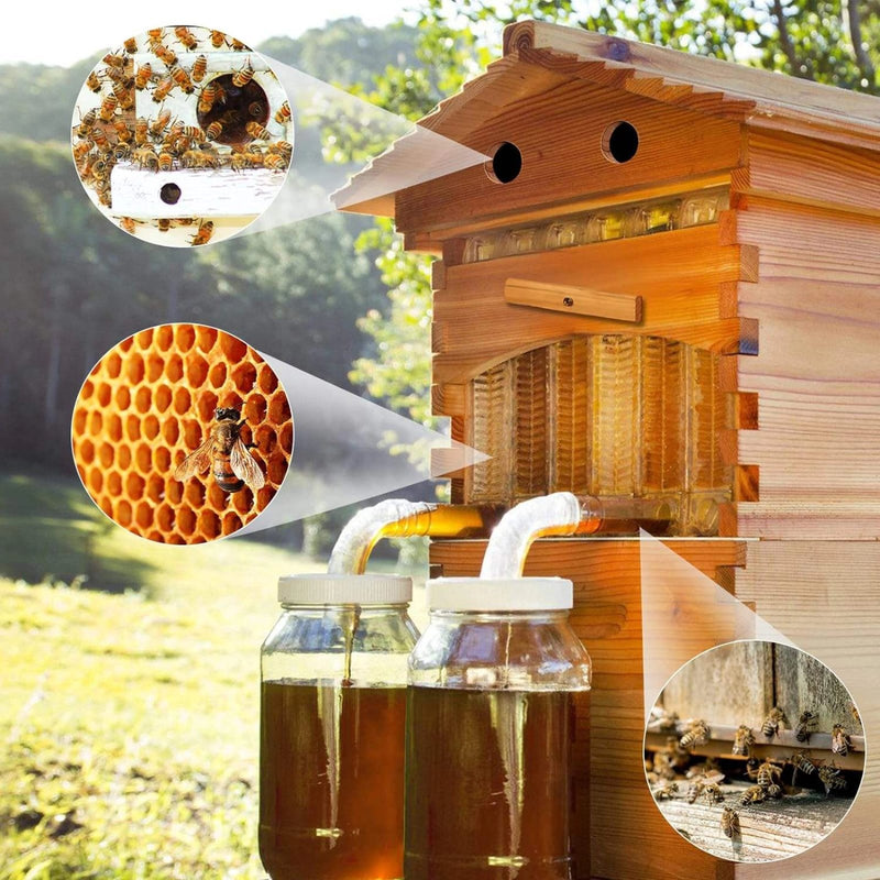 SkogHive 7-Frame Automatic Flow Hive Kit - Premium Cedar Wood Beehive