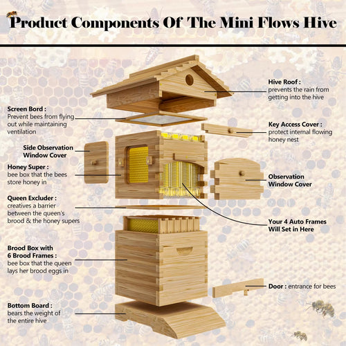 ApiaryPro Flow Hive Internal Structure – 6 Frame Automatic Beehive Design Diagram