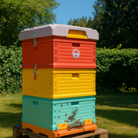 10-Waben-Bienenstock, isolierter Kunststoff-Bienenstock, HDPE-Bienenstockkasten, Bienenstock-Kit mit Rähmchen, belüfteter Imkerstock mit Top-Feeder, Imkerei-Ausrüstung
