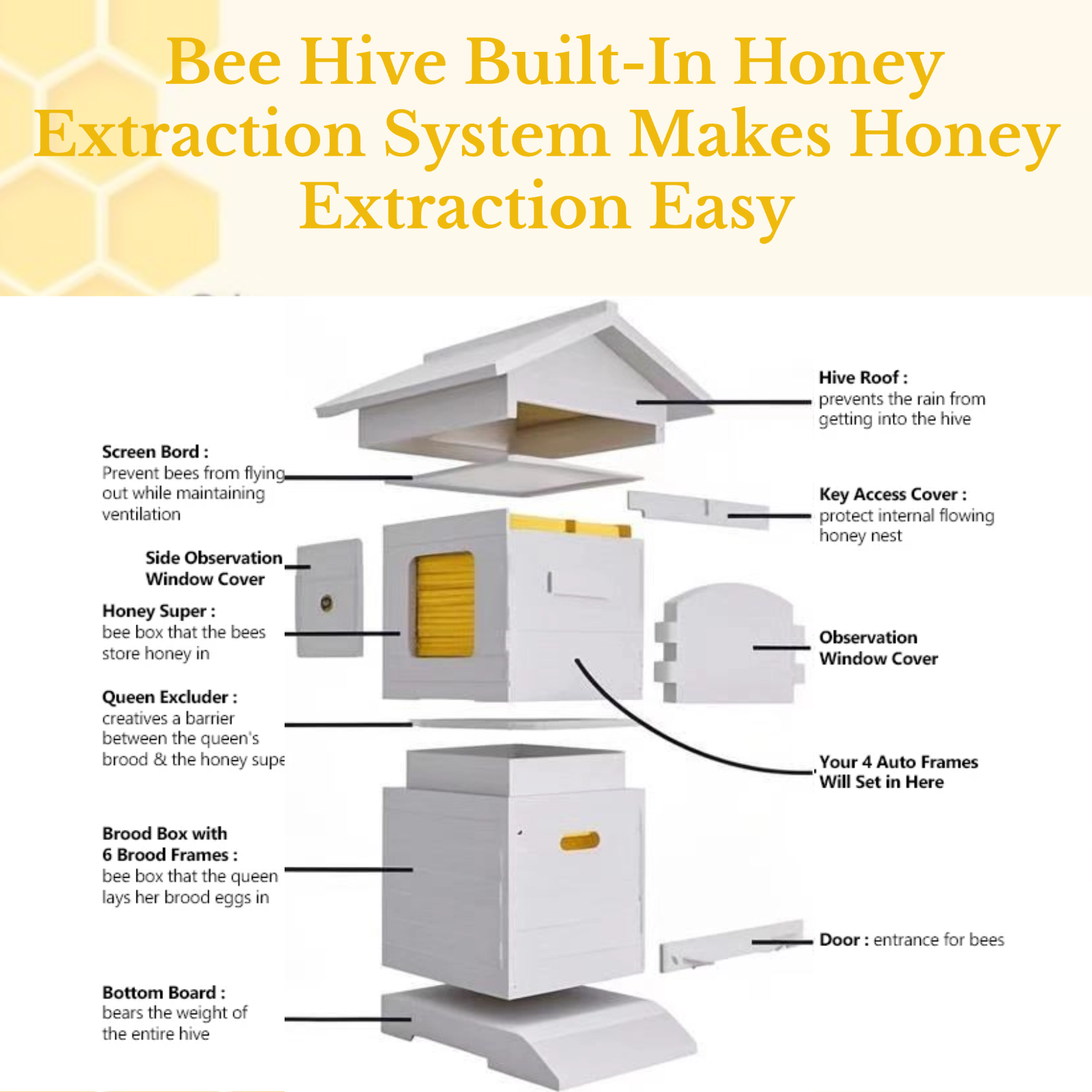 SkogHive Small Automatic Flow Bee Hive with Honey Spout – 6 Frame Cedar Beekeeping Starter Kit for Beginners & Backyard Use