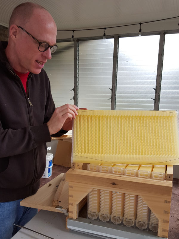 Automatic Flow Hive Honey Super with 7 Flow Frames