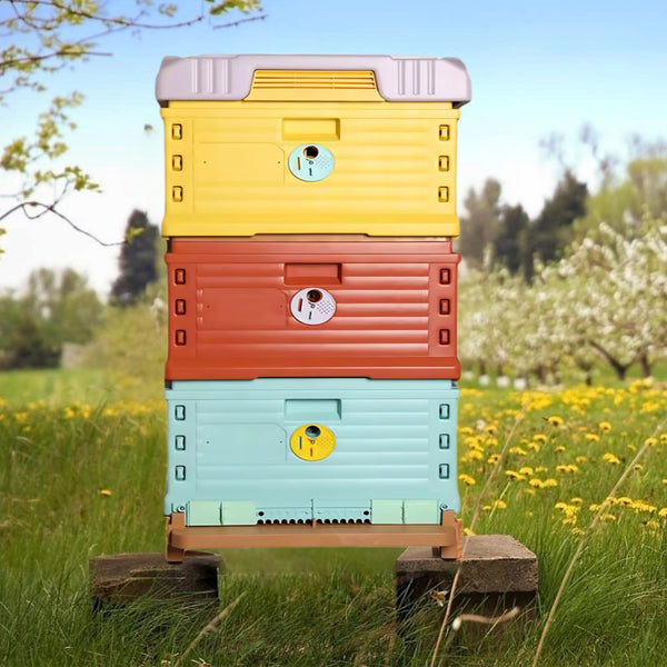 10 Frame Bee Hive, Plastic Insulated Beehive, HDPE Bee Hive Box, Beehive Kit with Frames, Ventilated Beekeeping Hive with Top Feeder, Apiary Beekeeping Equipment