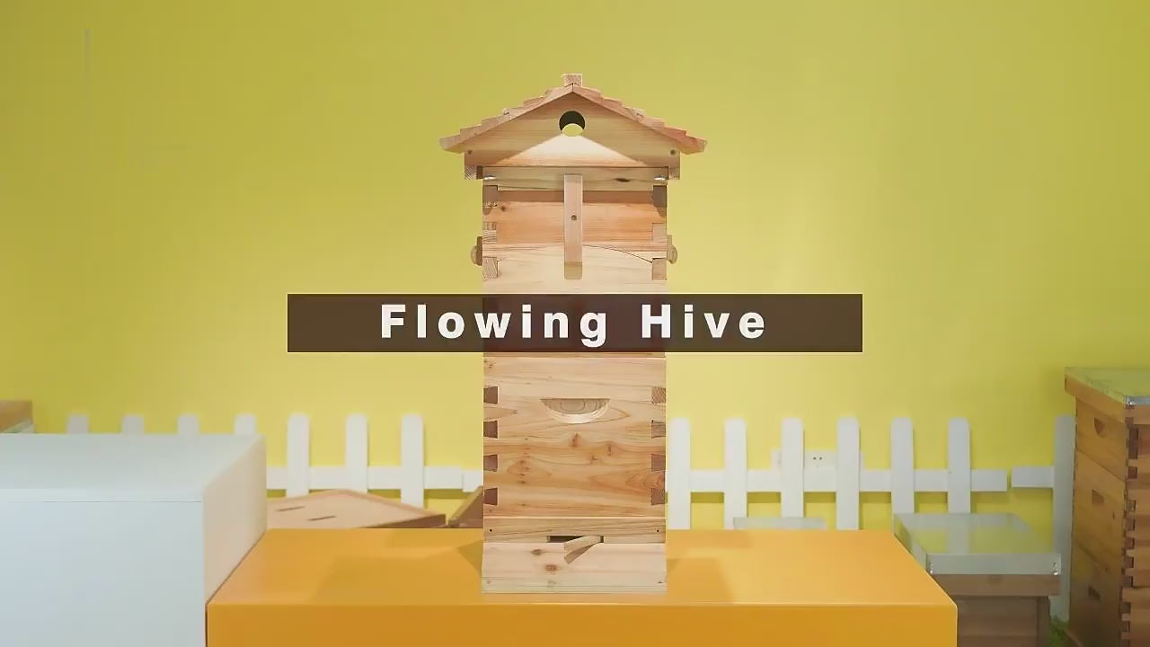 SkogHive Small Automatic Flow Bee Hive with Honey Spout – 6 Frame Cedar Beekeeping Starter Kit for Beginners & Backyard Use