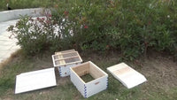 SkogHive 2+ Complete Automatic Flow Hive Kit - Premium Cedar Wood Beehive Set