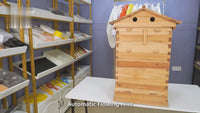 SkogHive 7-Frame Automatic Flow Hive Kit - Premium Cedar Wood Beehive
