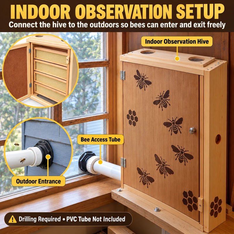 12-Frame Indoor Observation Hive – Wooden Beehive with Dual Plexiglass Viewing Doors