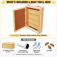 12-Frame Indoor Observation Hive – Wooden Beehive with Dual Plexiglass Viewing Doors
